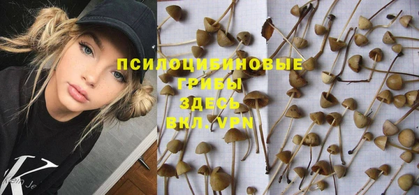 jwh Аркадак