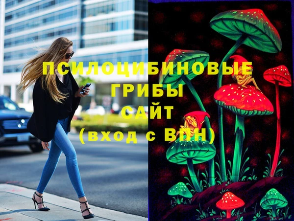 2c-b Алексин