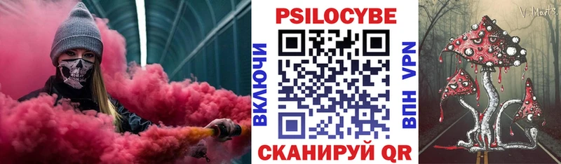 omg зеркало  Ивдель  Псилоцибиновые грибы Psilocybine cubensis 